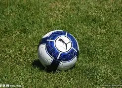 余企共展金,华制造精品,盛典,大发彩票,大发快三彩票官网,dafa大发彩票官网,大发彩票官网玩家首选