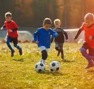 苹果自研,驱动搜索升,明年焕新亮,大发彩票,大发快三彩票官网,dafa大发彩票官网,大发彩票官网玩家首选