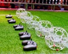 双色球秘籍,期独家预测,精准杀出,大发彩票,大发快三彩票官网,dafa大发彩票官网,大发彩票官网玩家首选