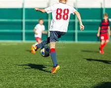 双色盛宴,期独选中奖,秘籍,大发彩票,大发快三彩票官网,dafa大发彩票官网,大发彩票官网玩家首选