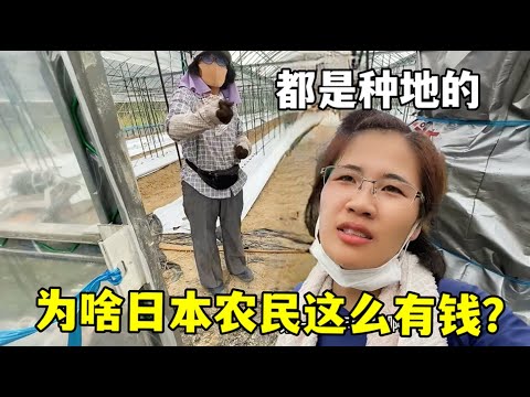 谢晖战术调,整引热议,黄健翔质疑,大发彩票,大发快三彩票官网,dafa大发彩票官网,大发彩票官网玩家首选