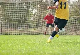 朱婷亮相世,俱杯星光熠,贡献,大发彩票,大发快三彩票官网,dafa大发彩票官网,大发彩票官网玩家首选