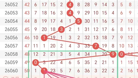 26021期大乐透专家推荐：复式一注质合分析实证实力